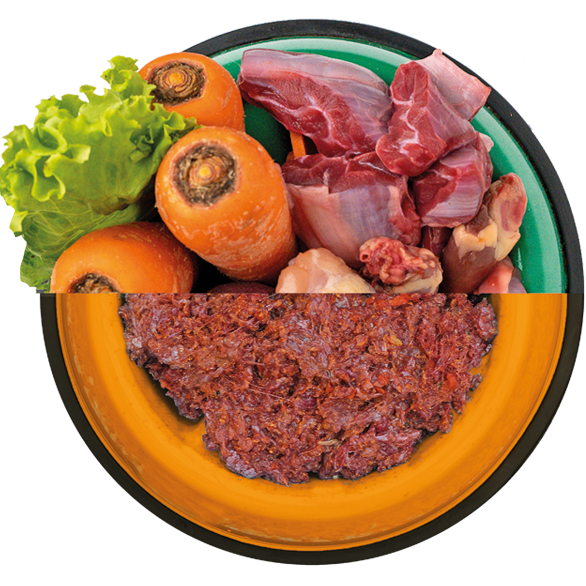 RECETA CARNE BAJA EN GRASA