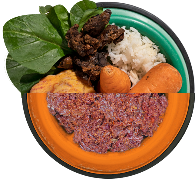 RECETA DE POLLO-ESPINACA