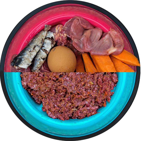 RECETA MIXTA GATITOS