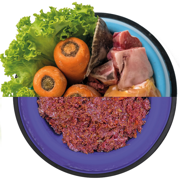 RECETA POLLO Y PESCADO