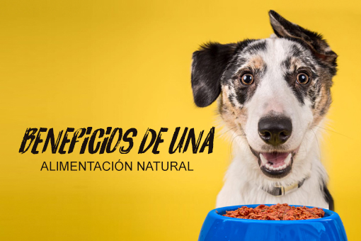 Beneficios de una alimentación natural
