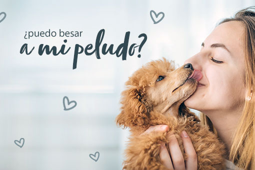 ¿Puedo besar a mi peludo?